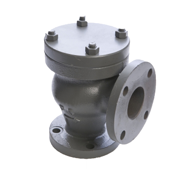 CBT4009 Cast Iron check valve
